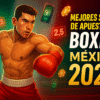 Top 10 Casas de Apuestas Boxeo en México 2025: Bonos y Análisis